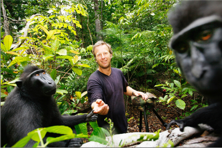 為了一張猴子自拍照的版權：攝影師打官司7年 慘遭破產(chǎn)