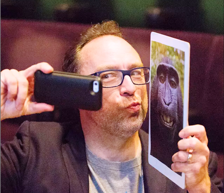 為了一張猴子自拍照的版權：攝影師打官司7年 慘遭破產(chǎn)