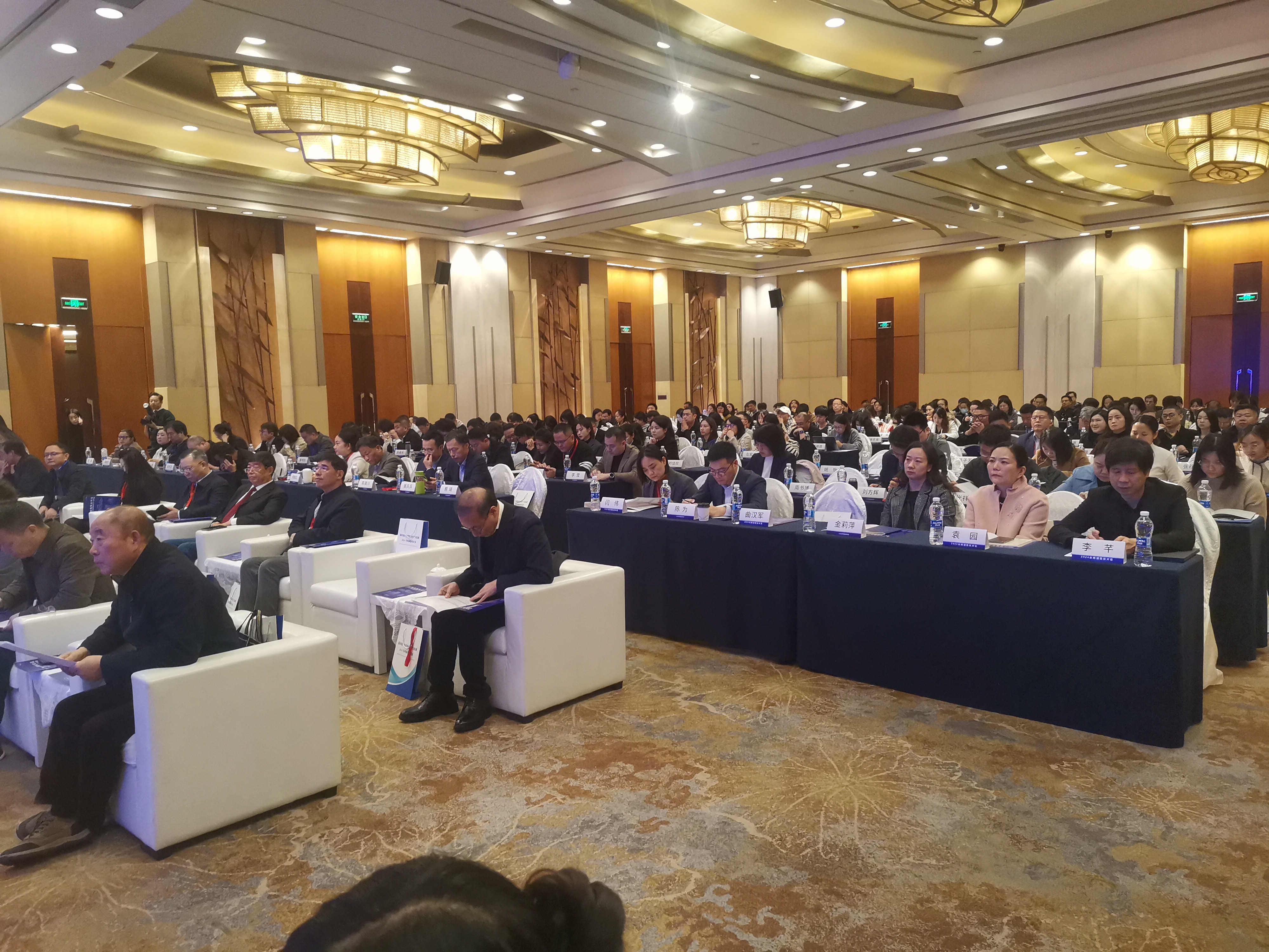 兩湖版權(quán)對(duì)話:版權(quán)保護(hù)助推新質(zhì)生產(chǎn)力發(fā)展