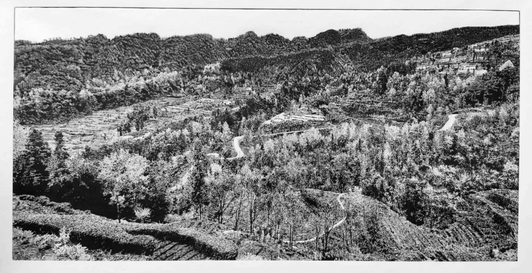 第五屆湖北藝術節(jié)優(yōu)秀美術作品欣賞