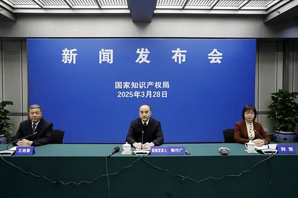 加快推進(jìn)人工智能大模型在審查工作中的應(yīng)用