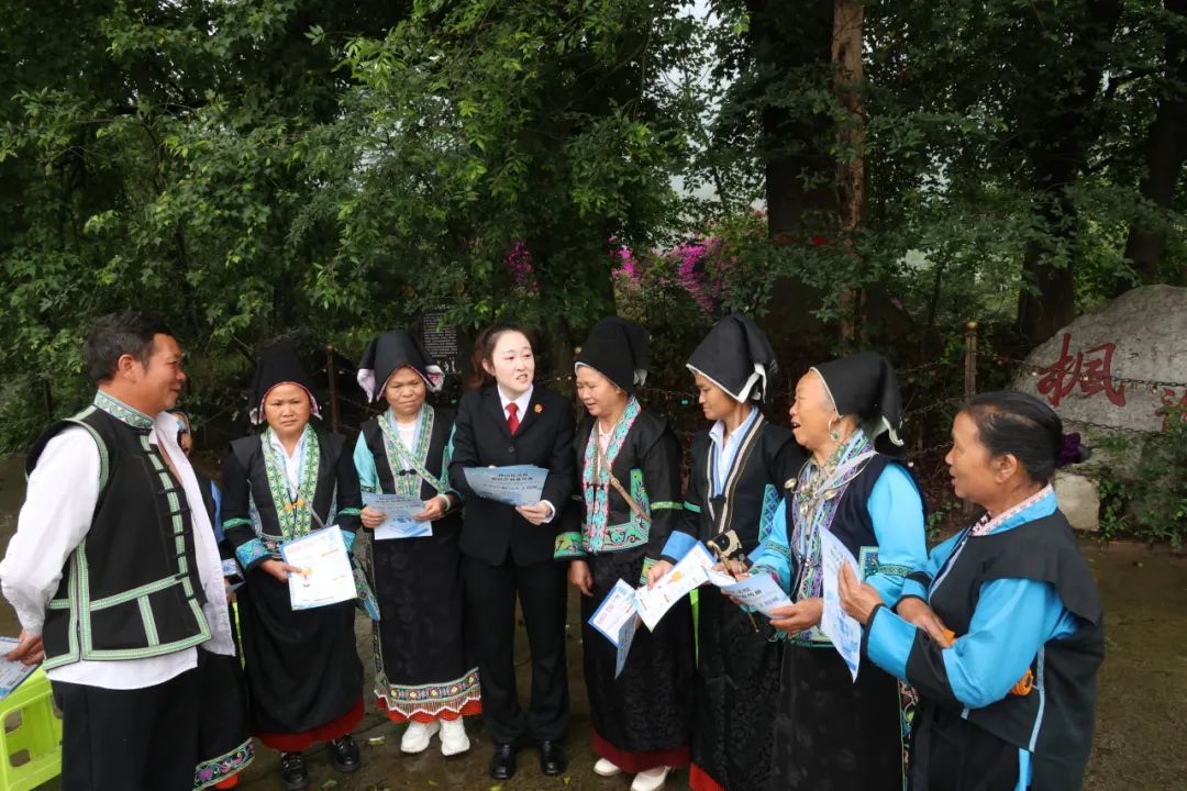 首例布依族紋樣作品著作權(quán)案落槌