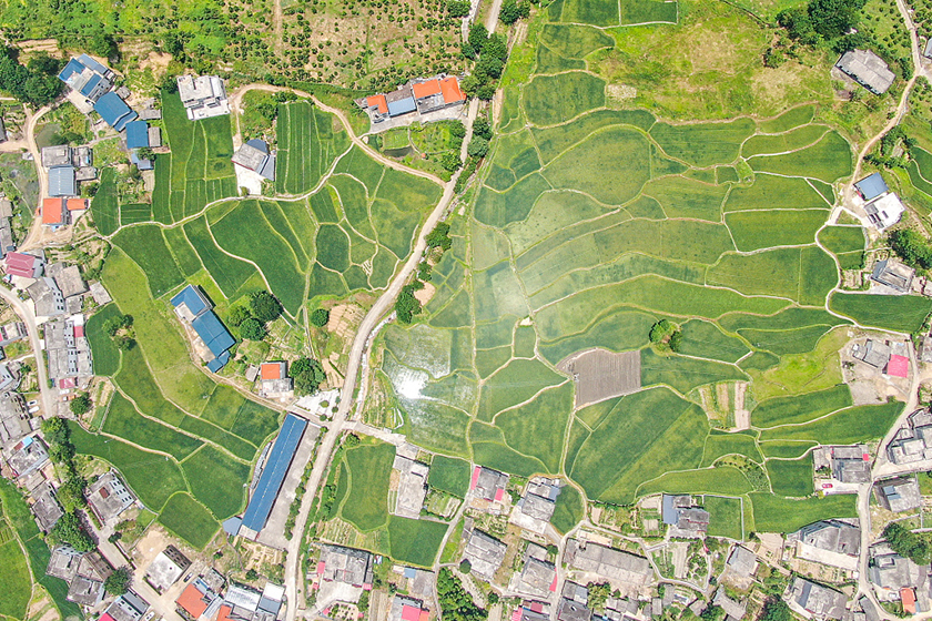 江西遂川：“版權(quán)小村”繪出產(chǎn)業(yè)新天地