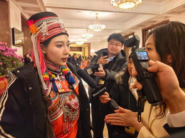 呼吁健全文化遺產(chǎn)領(lǐng)域版權(quán)登記與授權(quán)機(jī)制