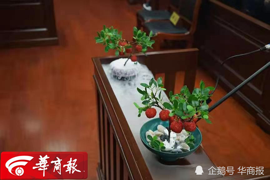 網(wǎng)紅餐廳因