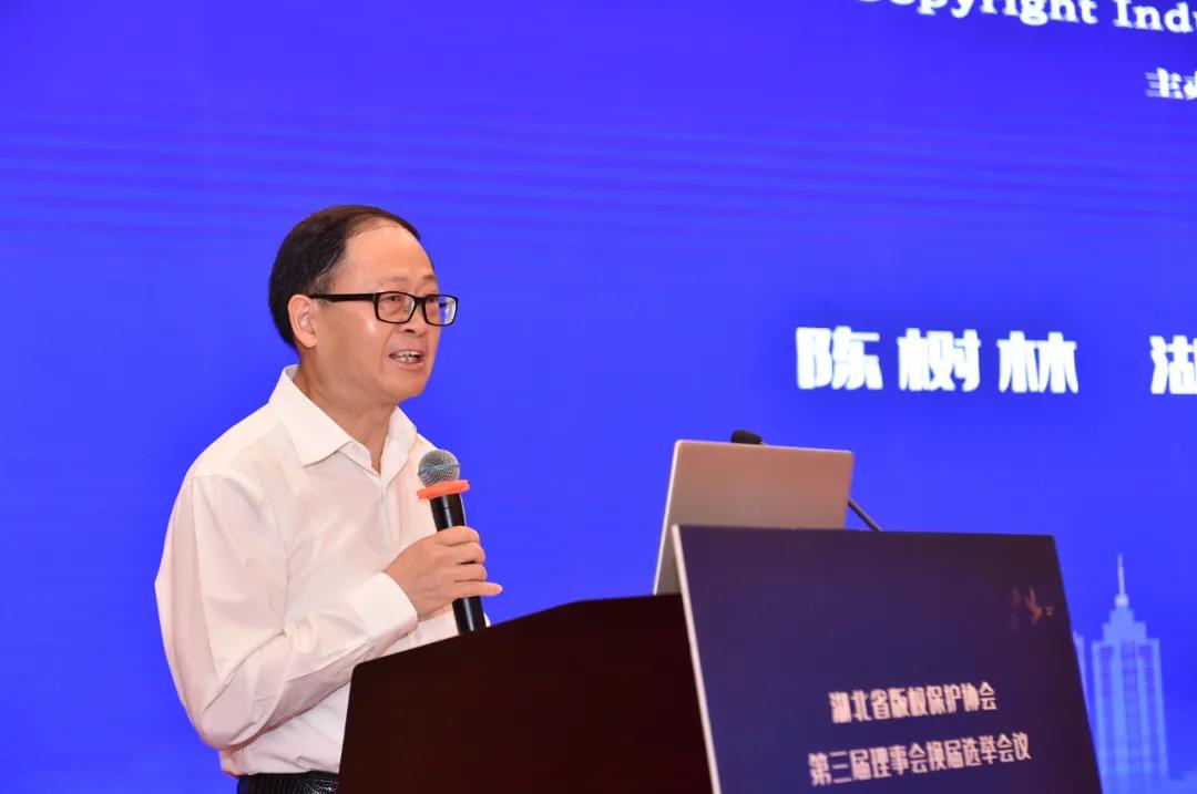 版權(quán)產(chǎn)業(yè)創(chuàng)新及知識(shí)產(chǎn)權(quán)保護(hù)東湖論壇成功召開(kāi)