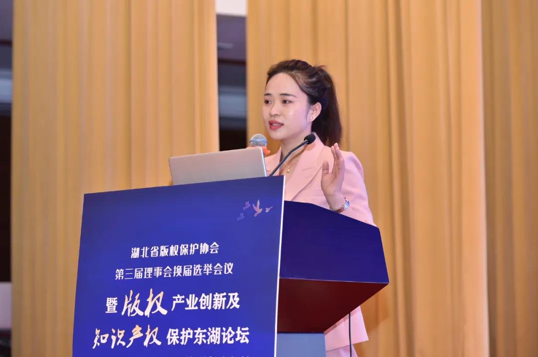 版權(quán)產(chǎn)業(yè)創(chuàng)新及知識(shí)產(chǎn)權(quán)保護(hù)東湖論壇成功召開(kāi)