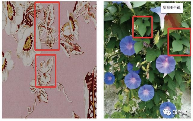 二審改判！深圳中院：當(dāng)事人并不因作品登記當(dāng)然享有著作權(quán)