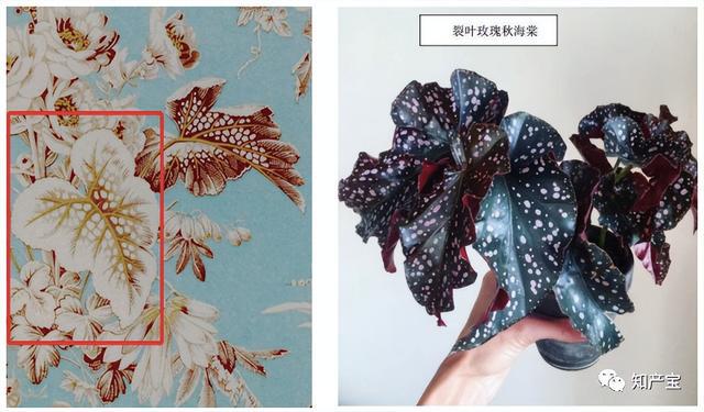 二審改判！深圳中院：當(dāng)事人并不因作品登記當(dāng)然享有著作權(quán)